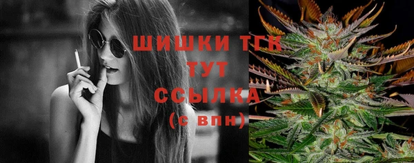 PSILOCYBIN Белоозёрский