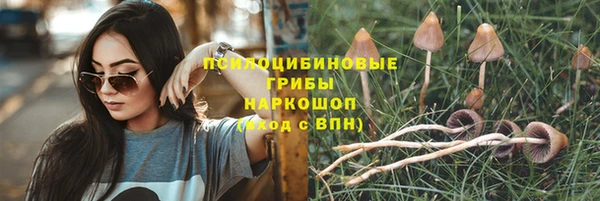 дмт Беломорск