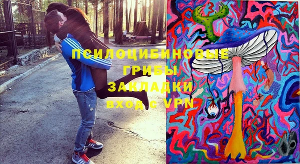 круглые Белокуриха